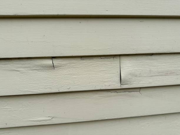 Best Shed Removal  in Cambridge City, IN